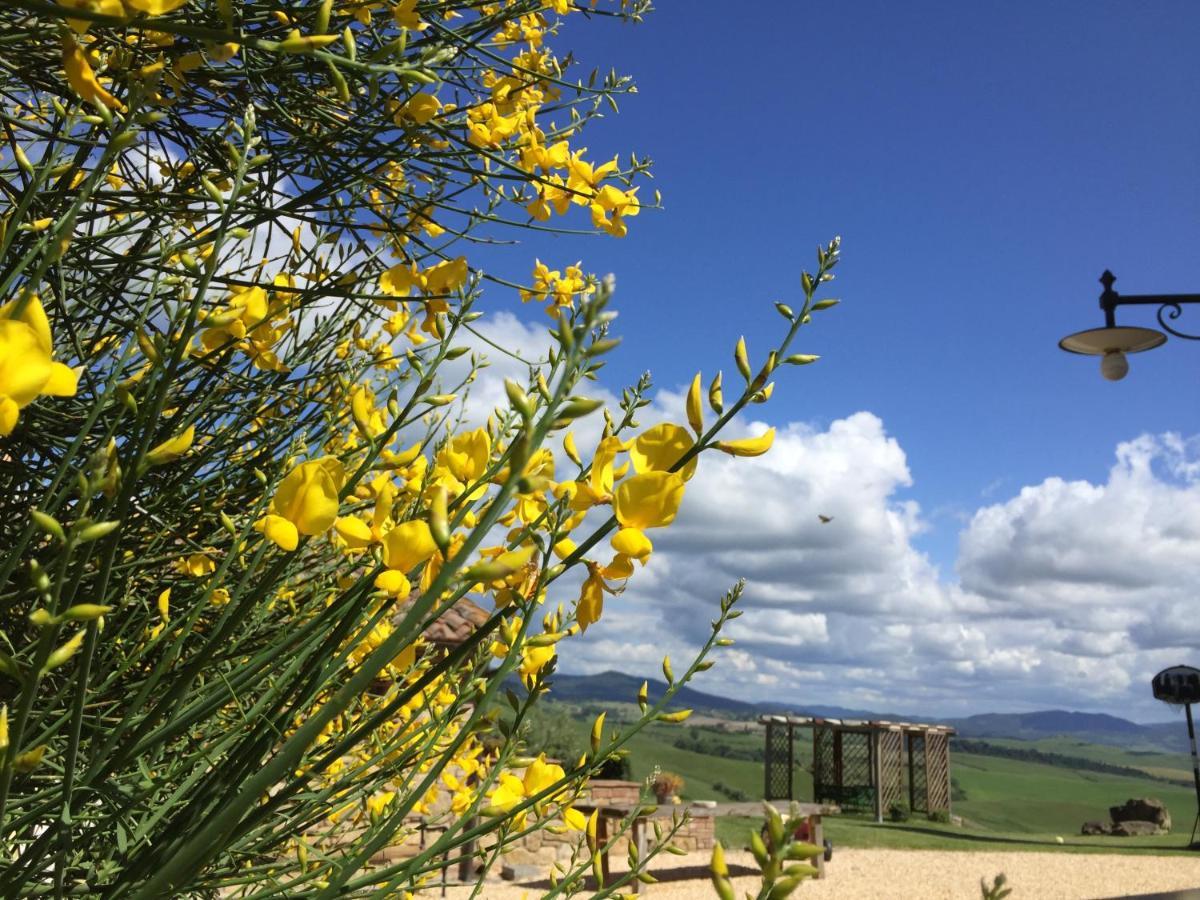 Agriturismo Casallario Volterra Dış mekan fotoğraf