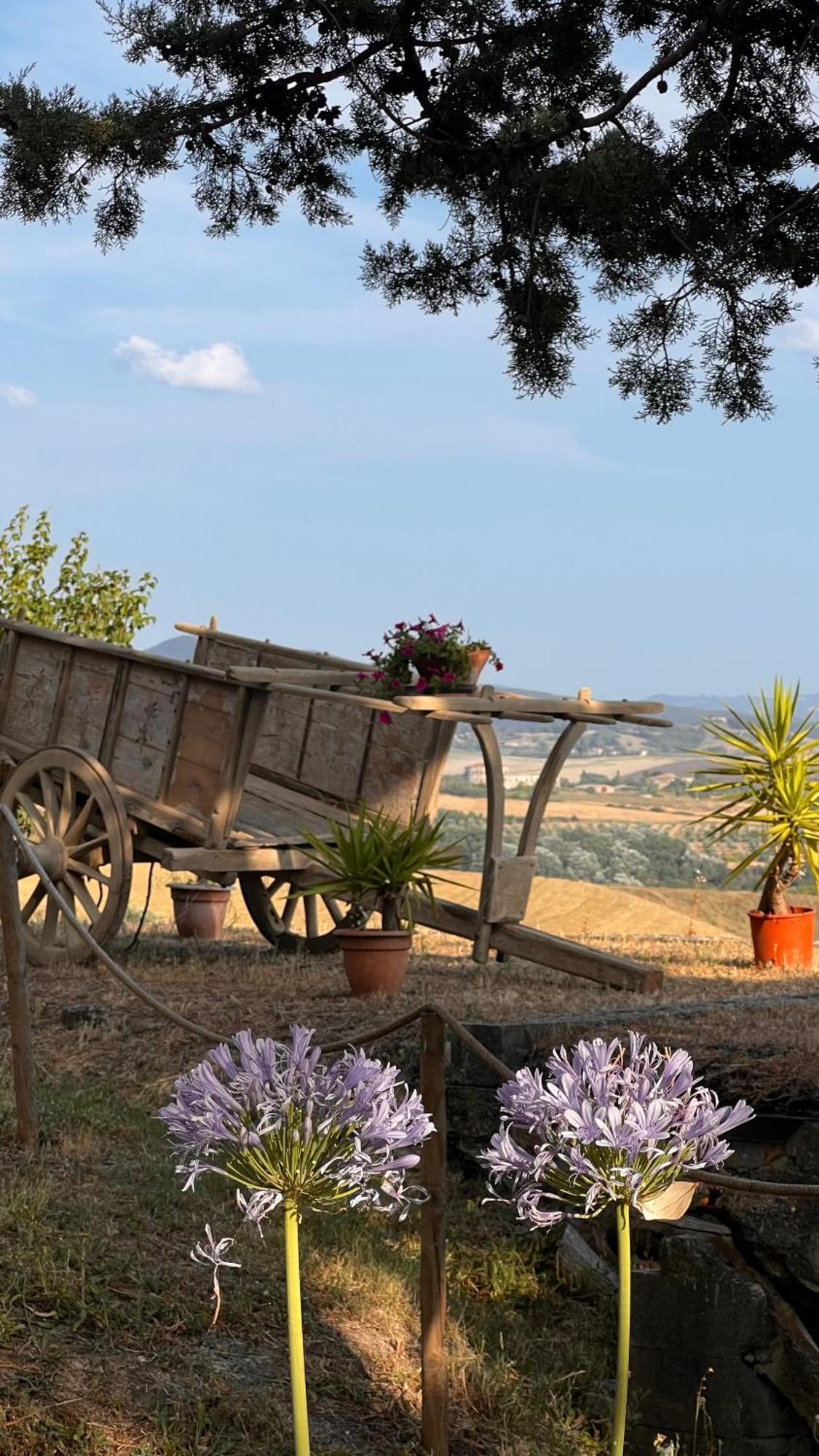 Agriturismo Casallario Volterra Dış mekan fotoğraf